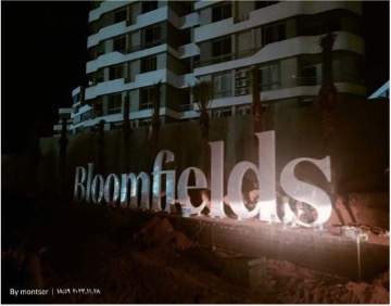 BLOOMFIELDS 01