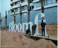 BLOOMFIELDS 03