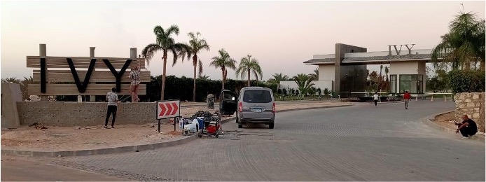 IVY   NEW ZAYED 01