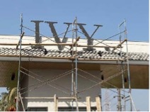 IVY   NEW ZAYED 02