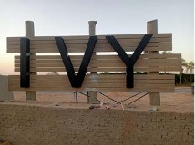 IVY   NEW ZAYED 03