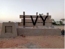 IVY   NEW ZAYED 04